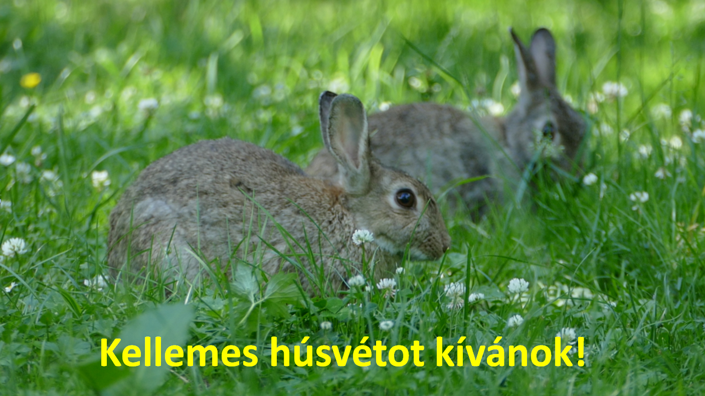 kellemes_husvetot_penzugyi_fitnesz.png
