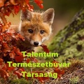 TTT - Talentum Természetbúvár Társaság