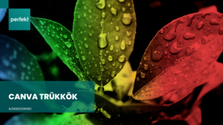 5 Canva trükk, amit minden kezdőnek ismernie kell