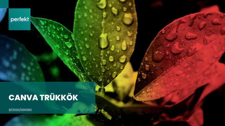 5 Canva trükk, amit minden kezdőnek ismernie kell