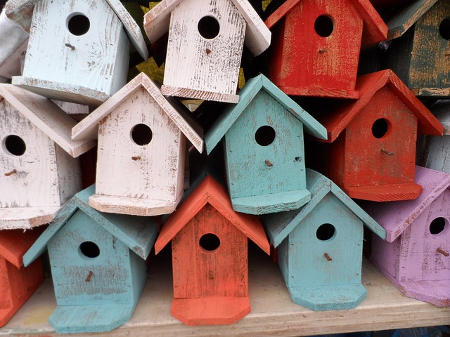 bird-house-72332_640.jpg