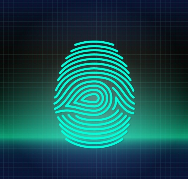 digital-fingerprint_23-2147508411.jpg