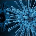 Koronavírus - véletlen volna a felbukkanása?