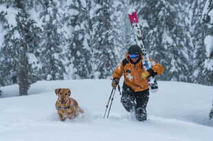 Helly Hansen 2017-es őszi-téli kollekciójával úgy választhatunk, akárcsak a profik