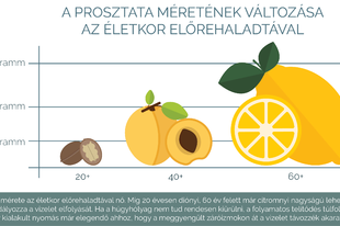 Az inkontinencia a férfiakat is érinti