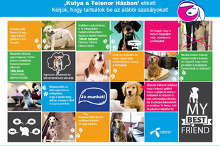 Kutyák járulnak hozzá, hogy a Telenor ügyfeleire több figyelem jusson