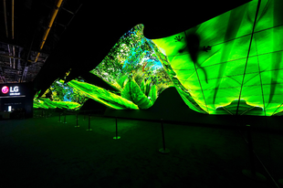 Lenyűgözték a CES látogatóit az LG látványos OLED installációi