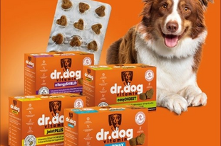 Tudatos gondoskodás négylábú családtagjainkért Bemutatkozik a Dr. Dog Vitamin!