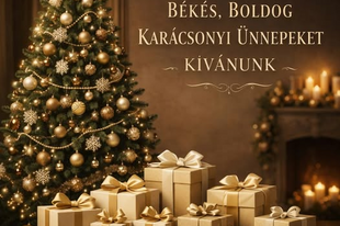 BÉKÉS, BOLDOG KARÁCSONYI ÜNNEPEKET KÍVÁNOK MINDENKINEK!