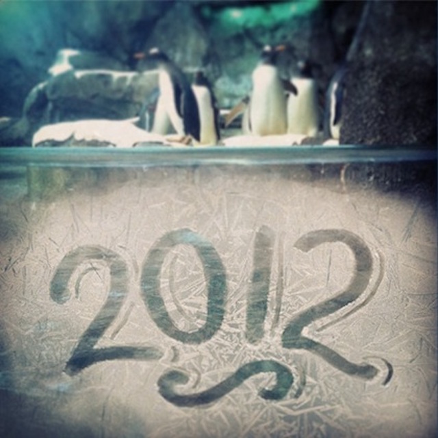 trigger_calgaryzoo2012_01.jpg