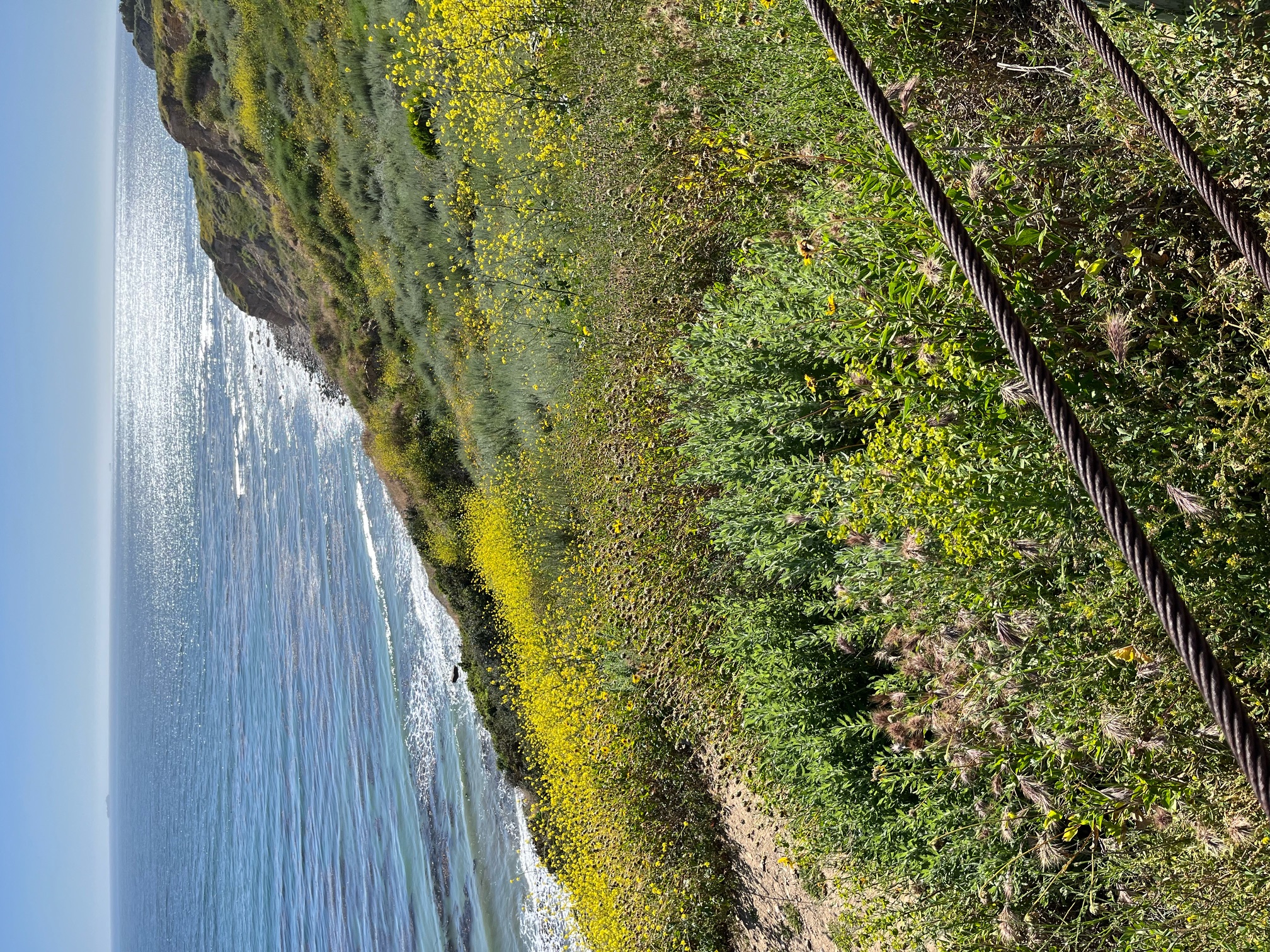 PALOS VERDES