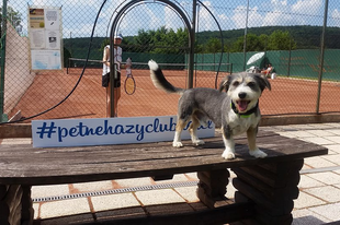 A Petneházy család különös napja