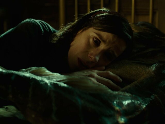 A víz érintése / The Shape of Water (2017)