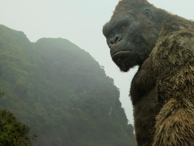 Kong: Koponya-sziget / Kong: Skull Island (2017)
