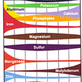 A talaj pH-mérése