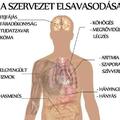 Elsavasodás a szervezetben