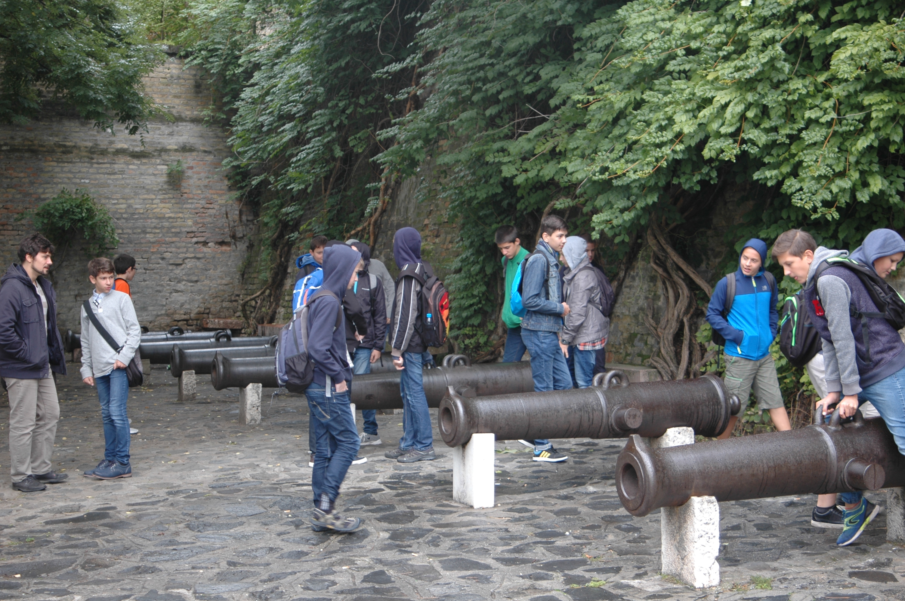 dsc_0144.JPG