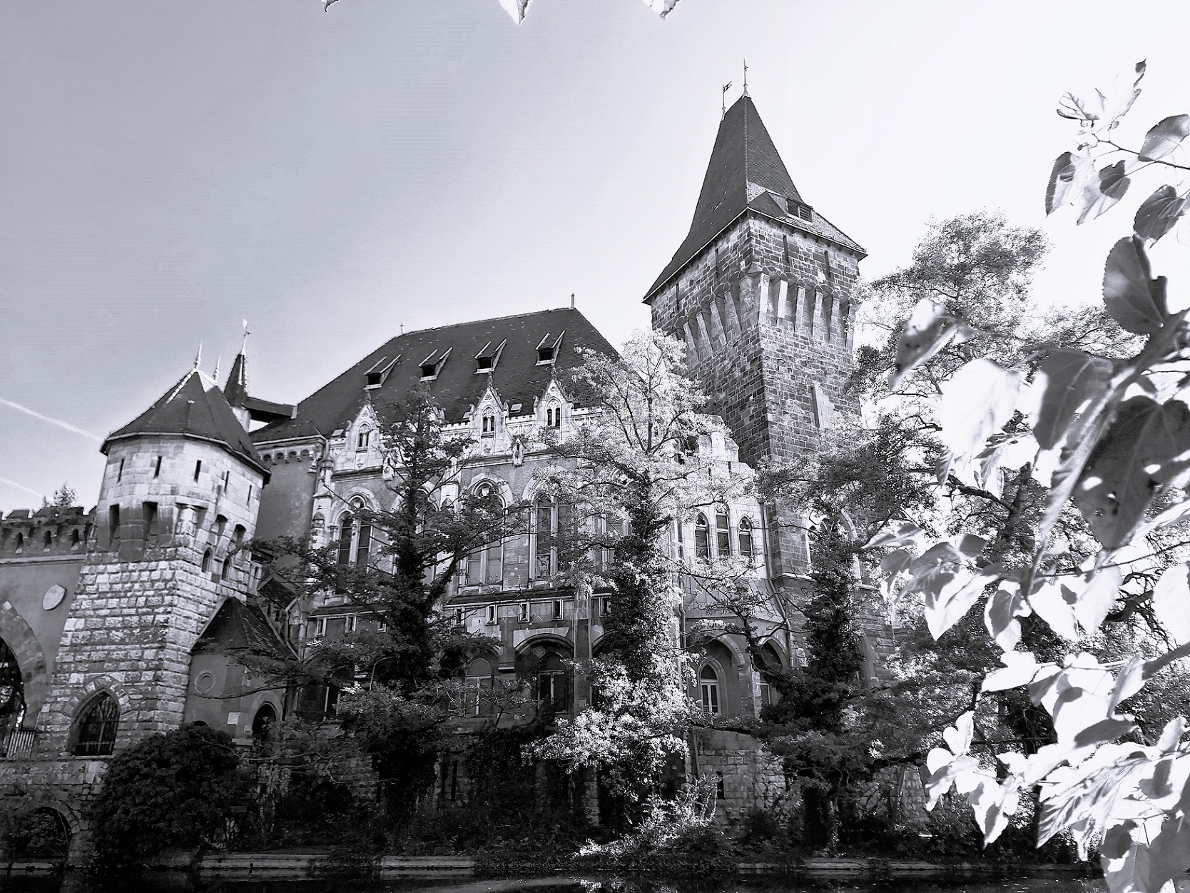 nemeth_gyorgy_photography_vajdahunyad_castle.jpg