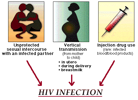 Routes of infection.gif
