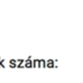 "Nem azért születtem, hogy a csicskád legyek..."