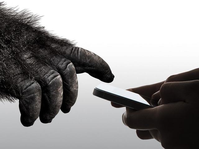 Fejmagasságból leejtve sem törik a Gorilla Glass Victus