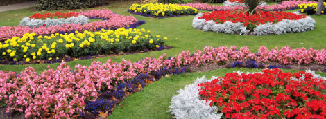 470_Flower_beds_-_geograph.org_.uk_-_564631.jpg