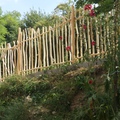 akác kerítés