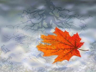 6082472-autumn-leaf-on-water-isolated-maple-leaves-are-in-my-gallery.jpg
