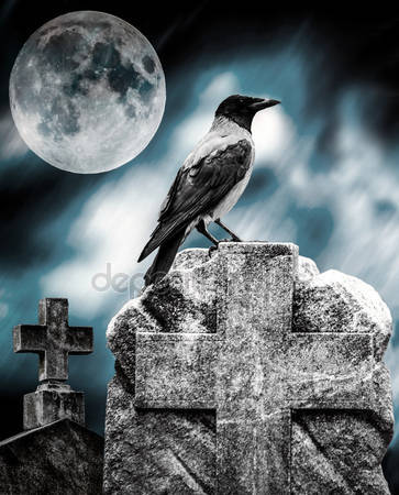 depositphotos_13936723-stock-photo-crow-sitting-on-a-gravestone.jpg