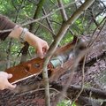 geocaching és egy kis séta