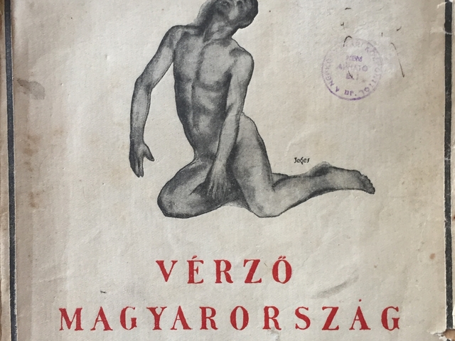 A Vérző Magyarország térképmelléklete és egy ismeretlen Kosztolányi-kézirat