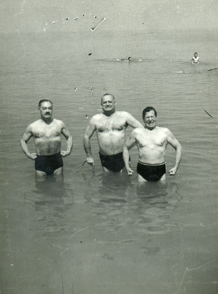 vazsonyiek_balaton_tihany.PNG