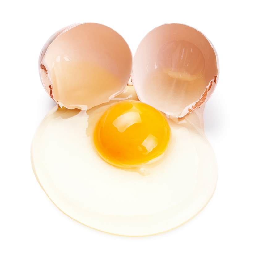 broken_egg_jpg_838x0_q67.jpg