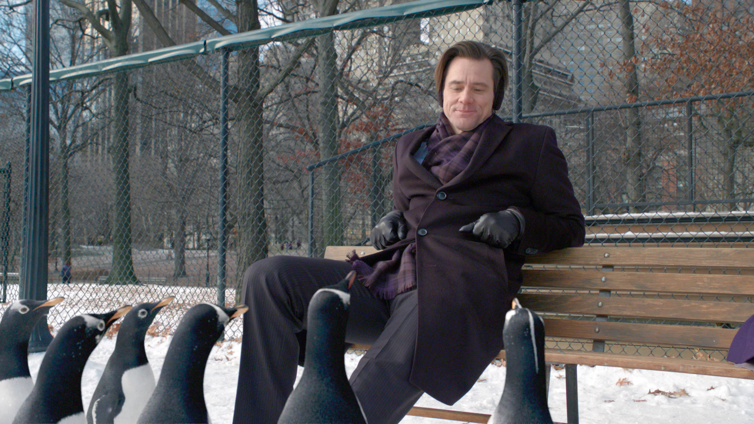 mr-poppers-penguins-movie-image-jim-carrey-031.jpg