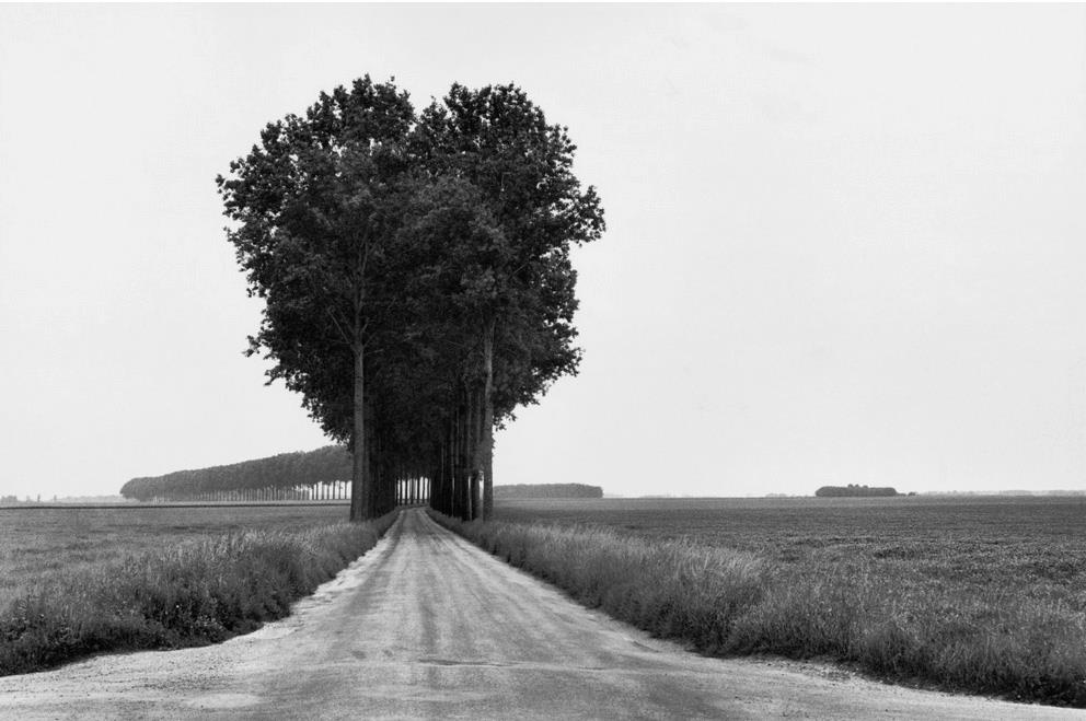 Henri Cartier-Bresson Brie, France, 1968.jpg