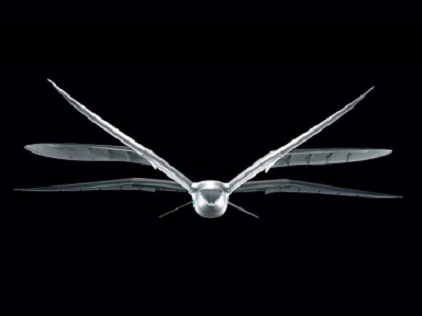 festo-smartbird-2.jpg