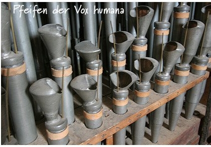 voxhumana.jpg