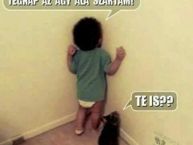 ilyen ez XD XD