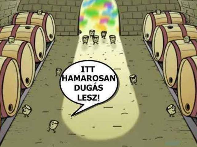 Élet a pincékben :D :D