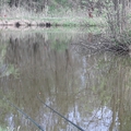 Újabb tőzeges peca esővel és Banjoval