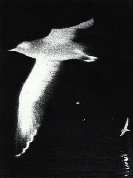 mario_giacomelli6.jpg