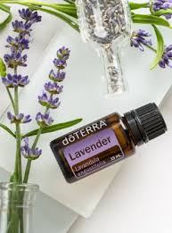lavender_1.jpg