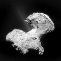 Rosetta