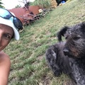 Örömséta/futás a Kutyaovi Állatvédő Egyesület védenceivel