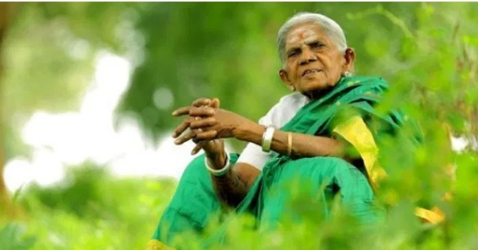 A kor csak egy szám: 108 éves a „Fák anyja”