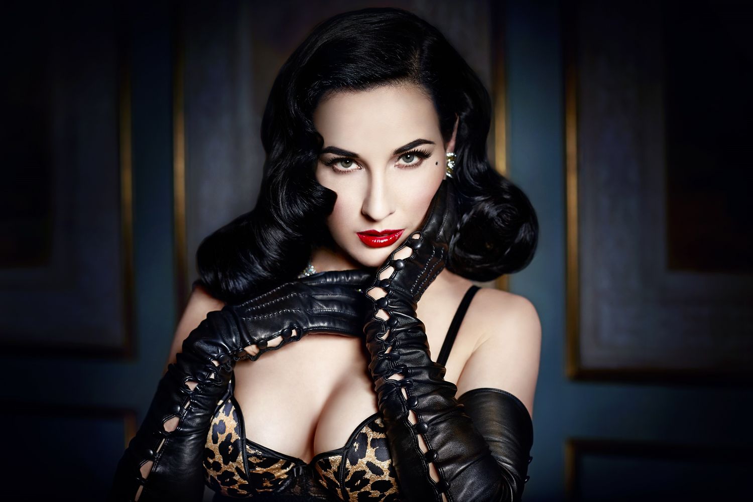 dita-von-teese-lingerie-leopard2-main.jpg