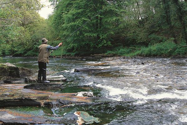 river_moyola_northern_ireland.jpg