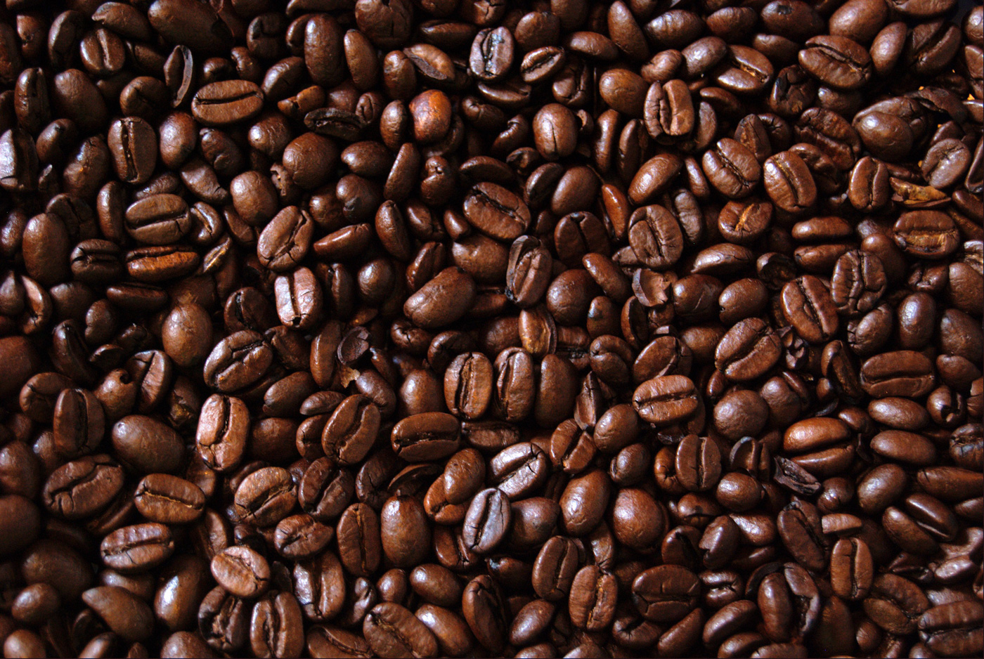 tumblr_static_coffee-beans.jpg
