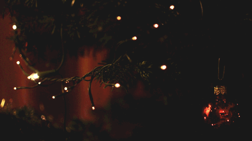 tumblr_mdee7qxvan1qmyyhko1_500.gif