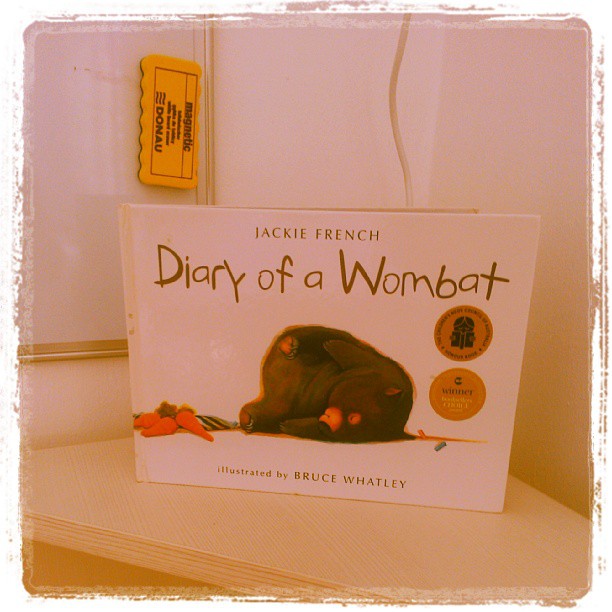 diary_wombat.jpg